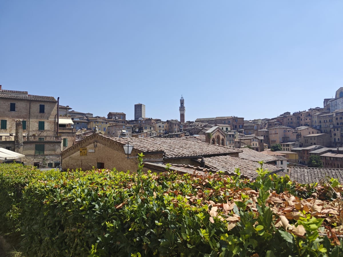 The same view turned toward the Torre del Mangia, a slender brick tower amid the red roofs of the old city