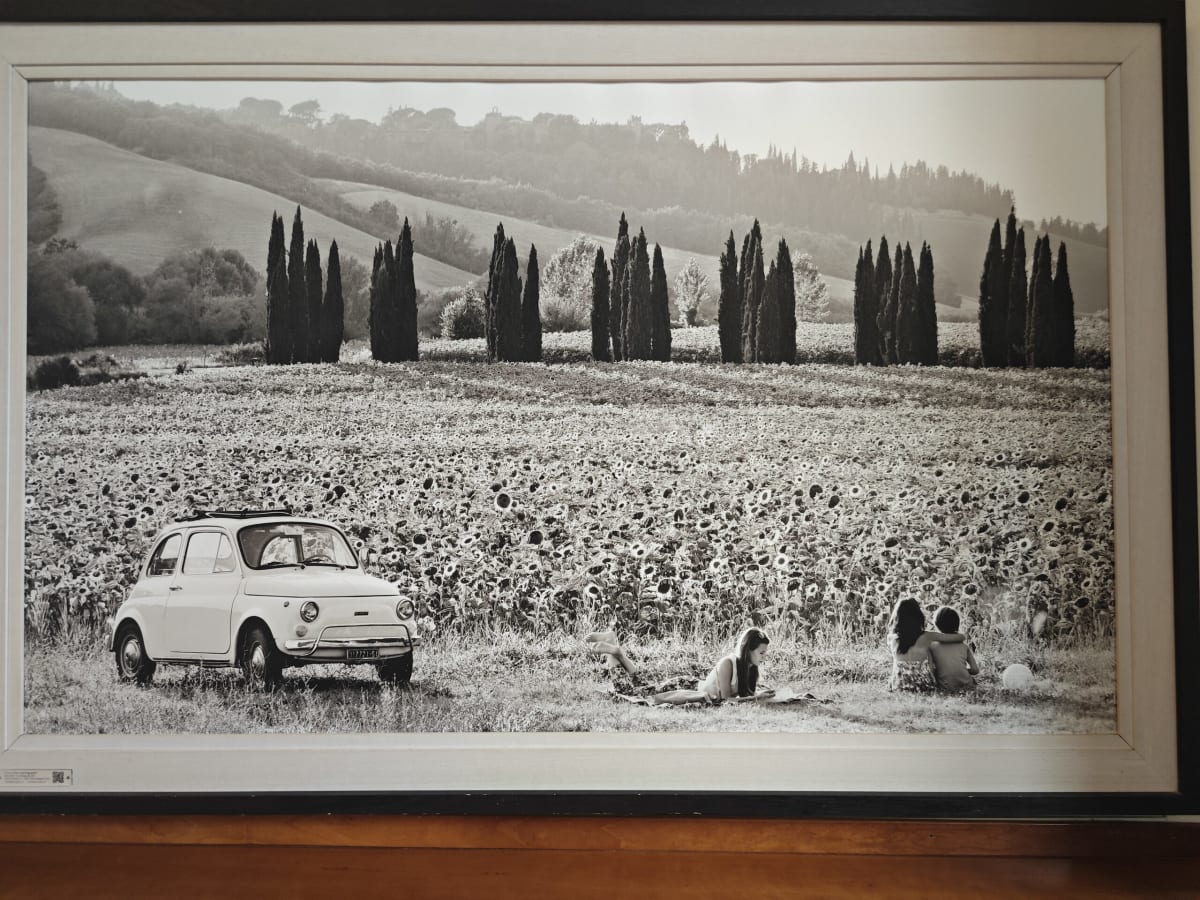 A framed black-and-white photograph of a vintage Fiat 500 parked in a sunflower field beneath a row of cypress trees, a couple lying in the grass