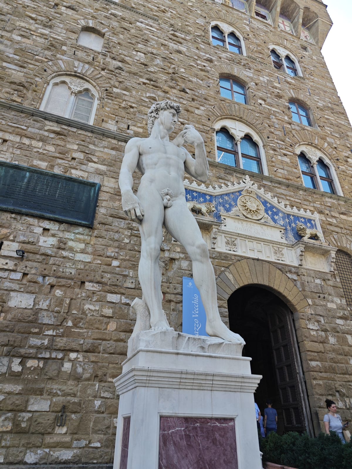 The David copy on its pedestal beside the arched entrance to Palazzo Vecchio, seen from below against the rough stone wall
