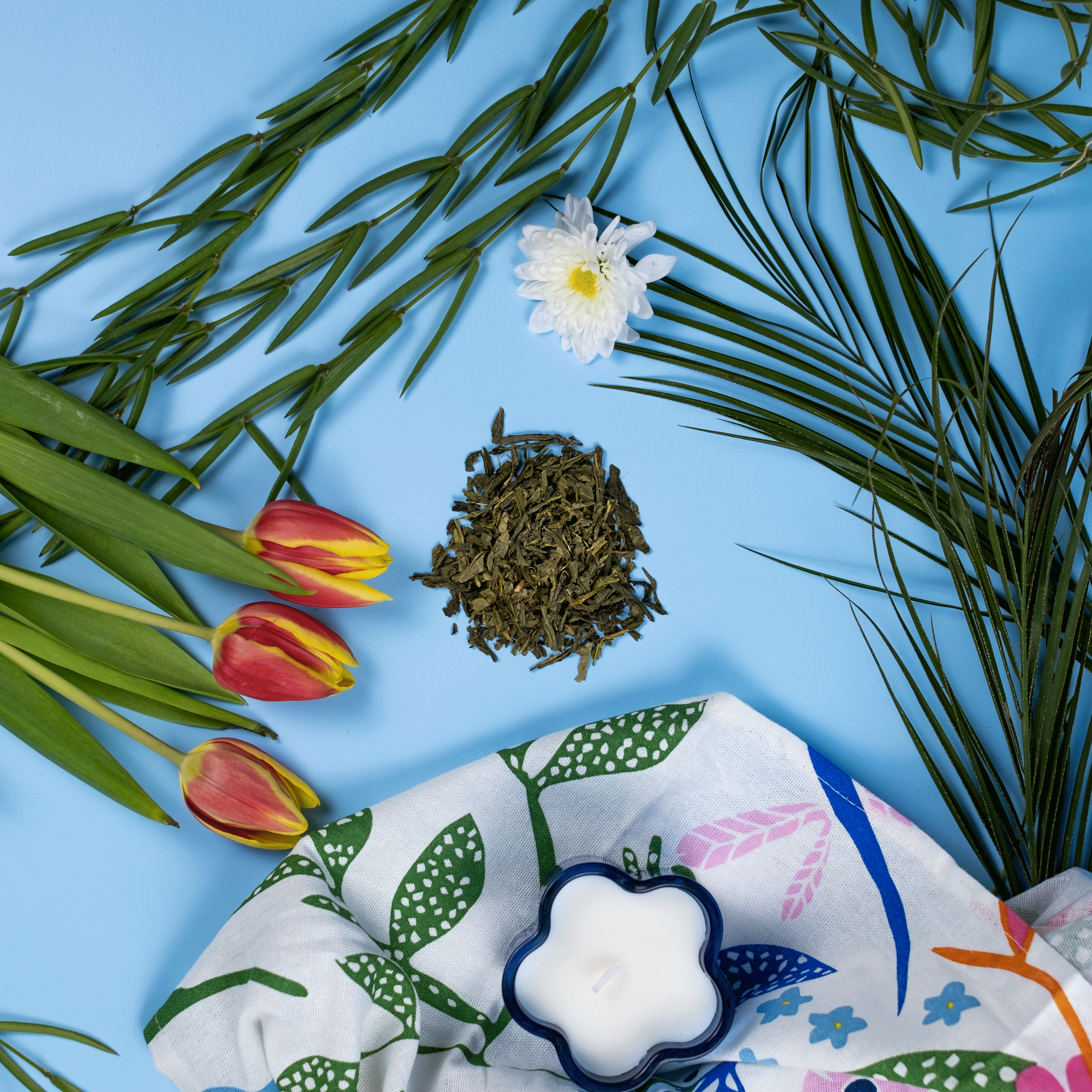 Sencha
