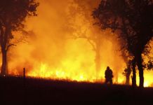 Climate Change Crisis boils over in 2020