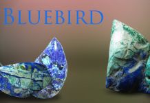 Bluebird