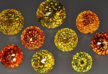 Marigolds… nope … Guess Again??