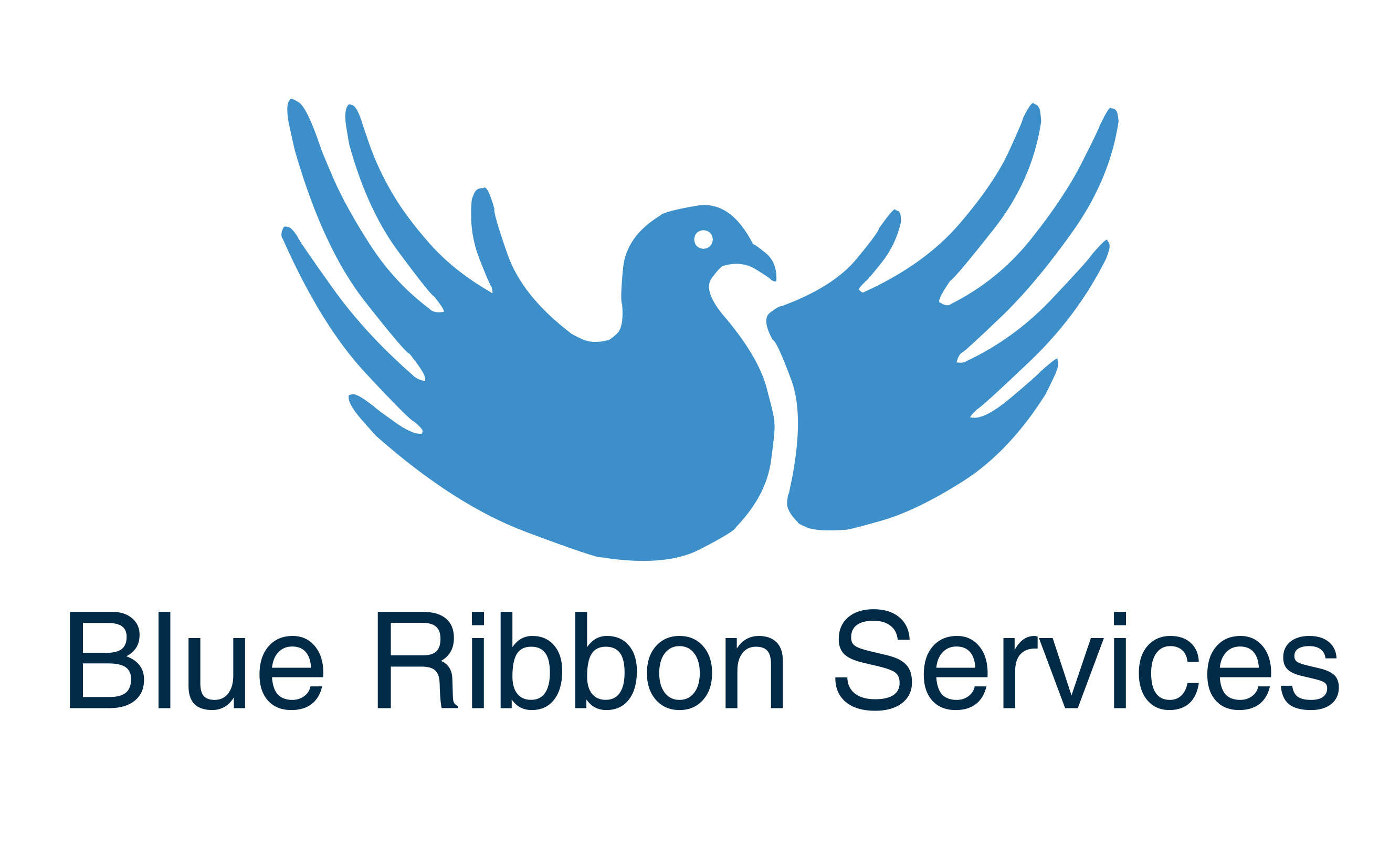 Blue Ribbon Services logo