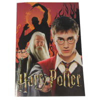 Harry Potter Harry & Dumbledore värityskirja  verkkokauppa