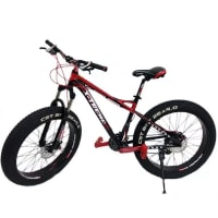 X-Treme Classic 26x4