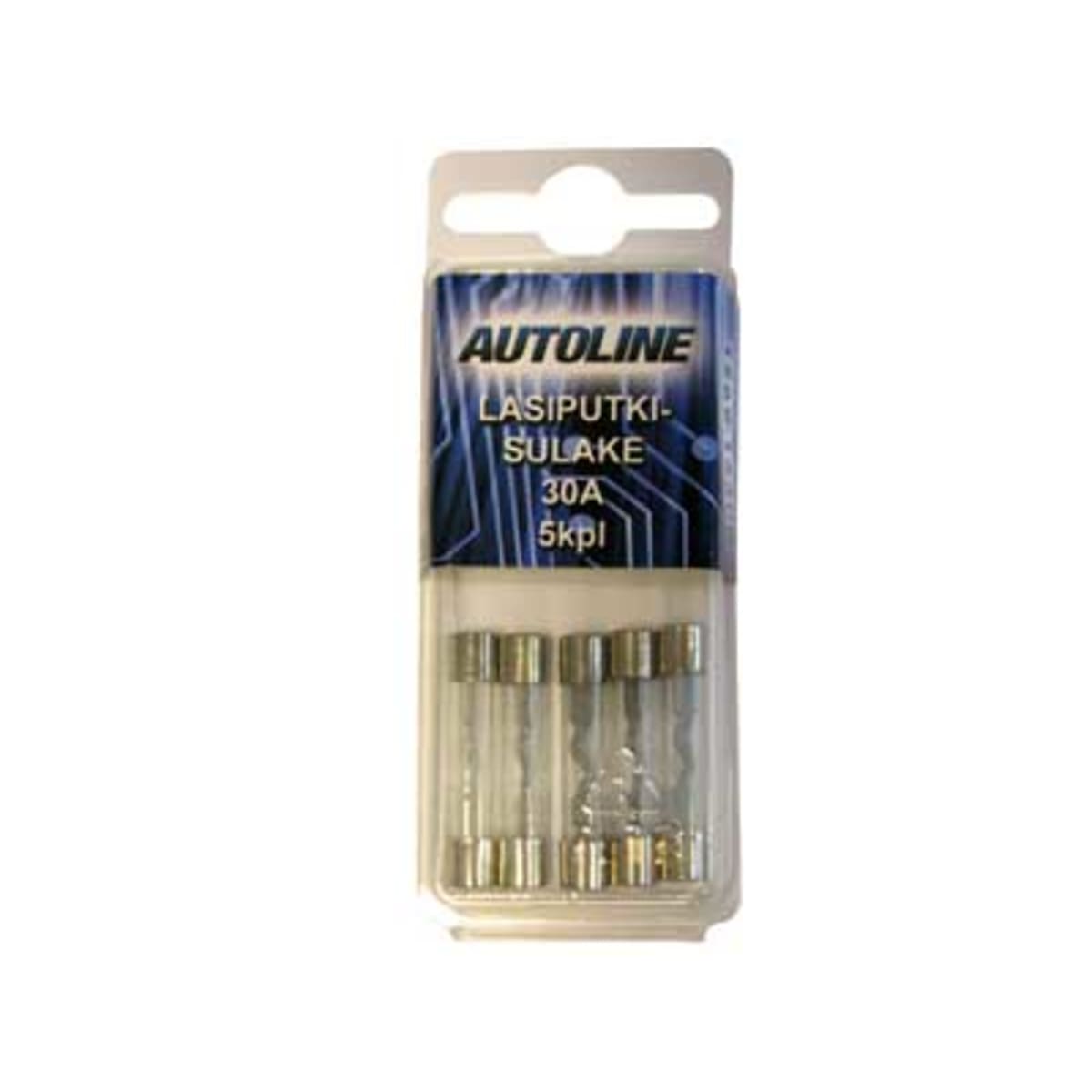 Autoline 6x32mm 30A 5kpl lasisulake  verkkokauppa