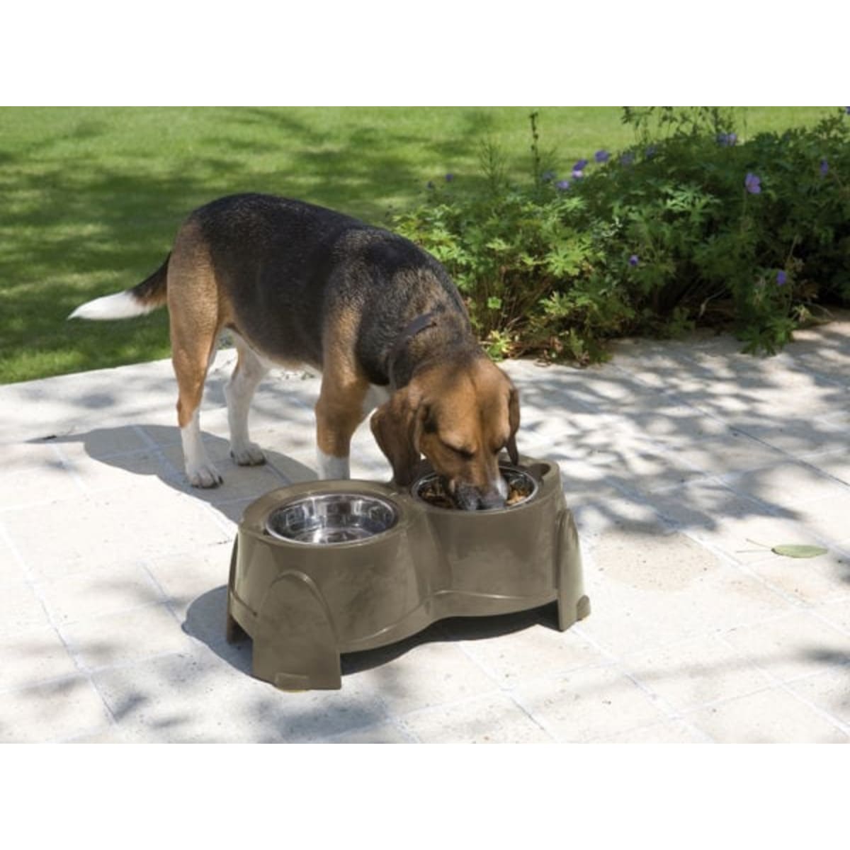 Ergo pet feeder large deals
