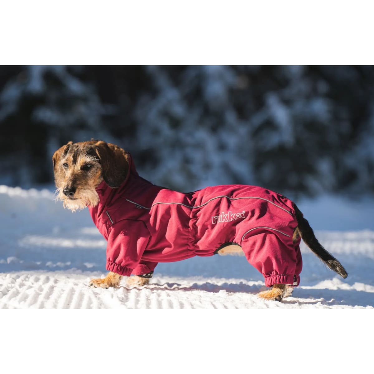 Rukka thermal softshell hotsell