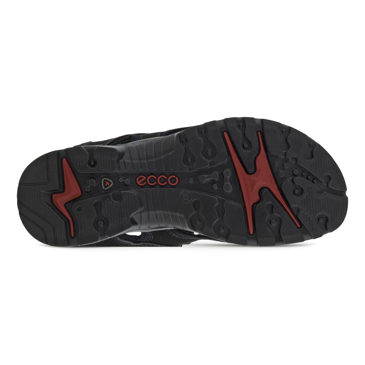 Ecco andes ii deals