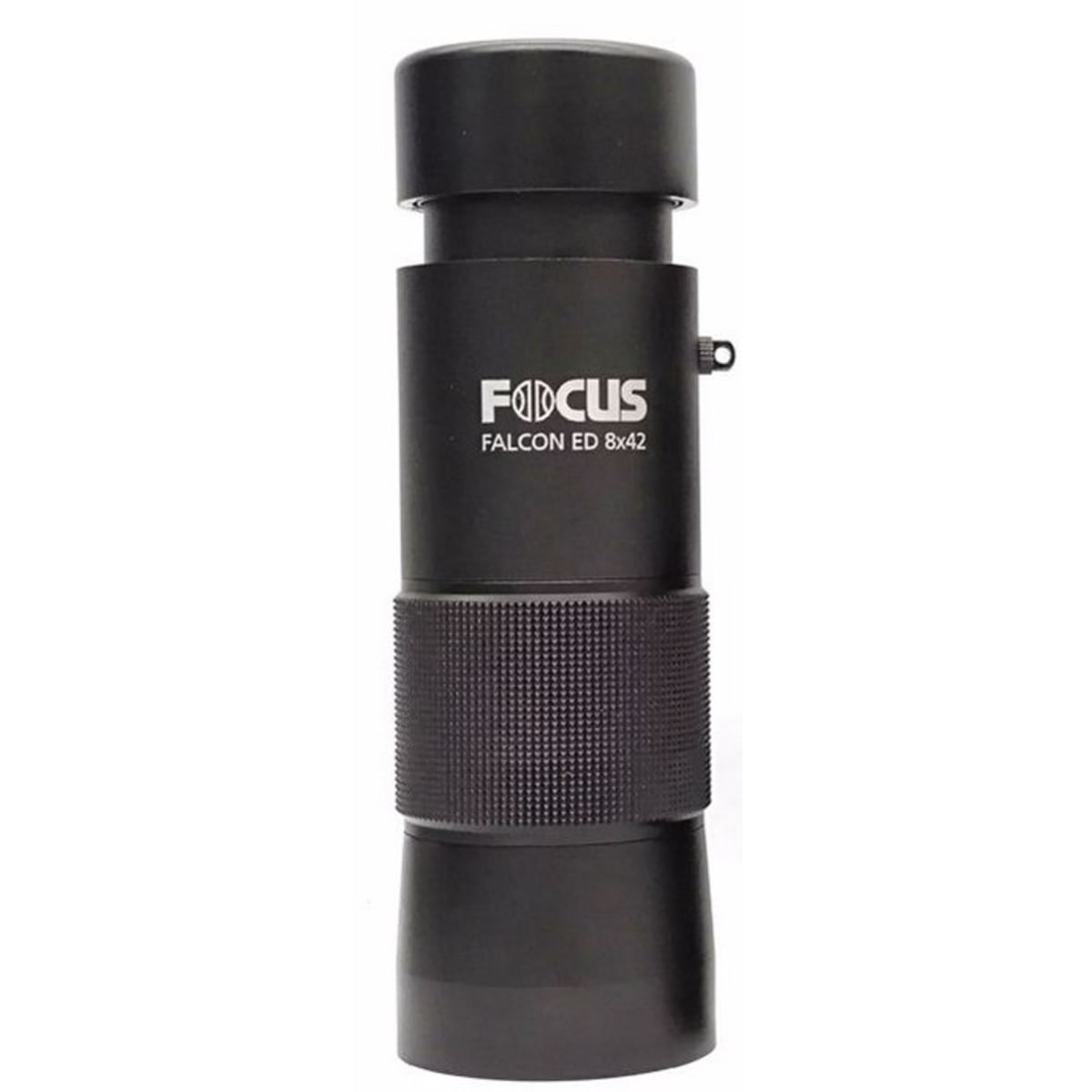 Focus falcon 8x42 2025