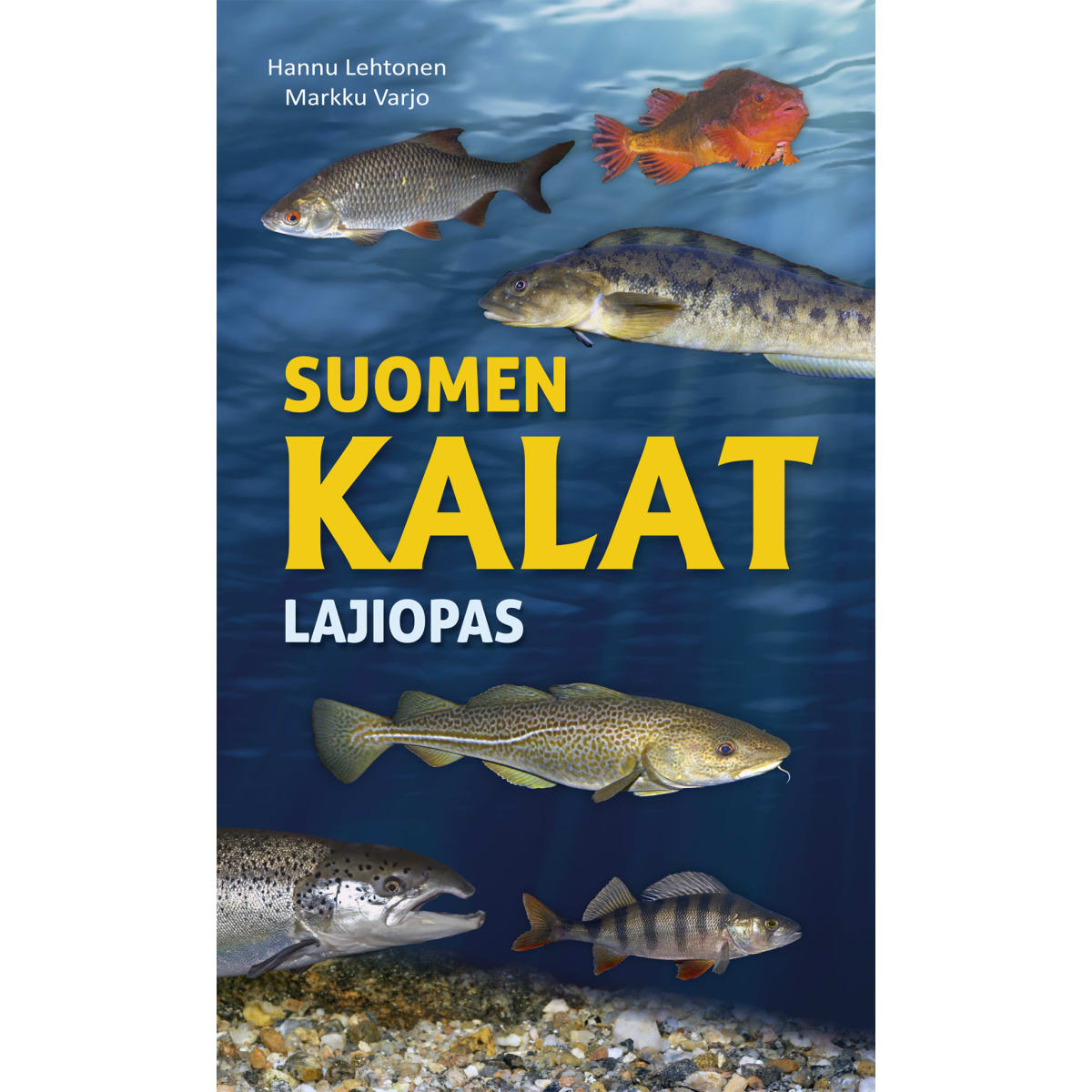 Hannu Lehtonen, Markku Varjonen: Suomen kalat - lajiopas   verkkokauppa