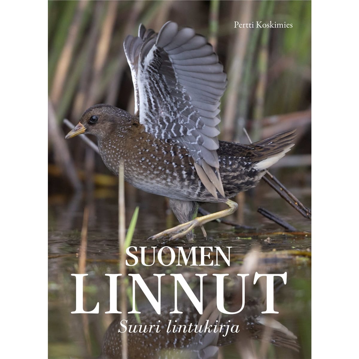 Pertti Koskimies: Suomen linnut - Suuri lintukirja   verkkokauppa