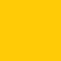Fly Yellow