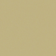 Metallic Beige