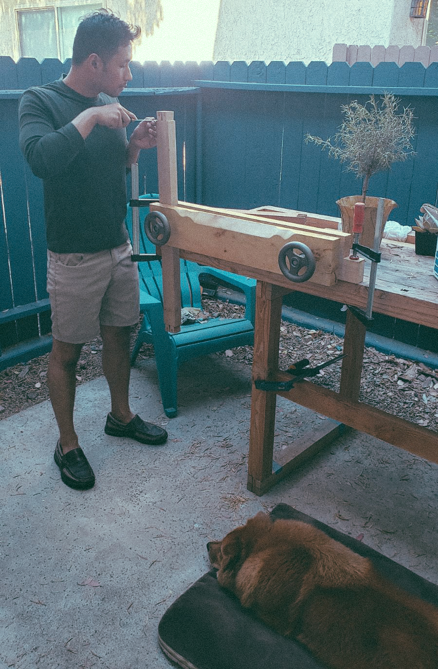 Beret the bench dog