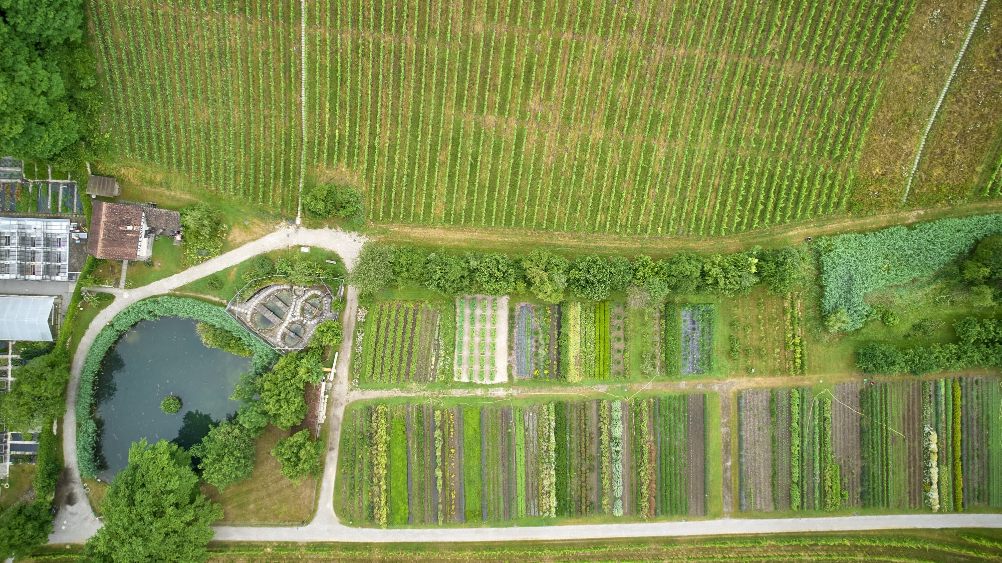 Blick auf den Kräutergarten
