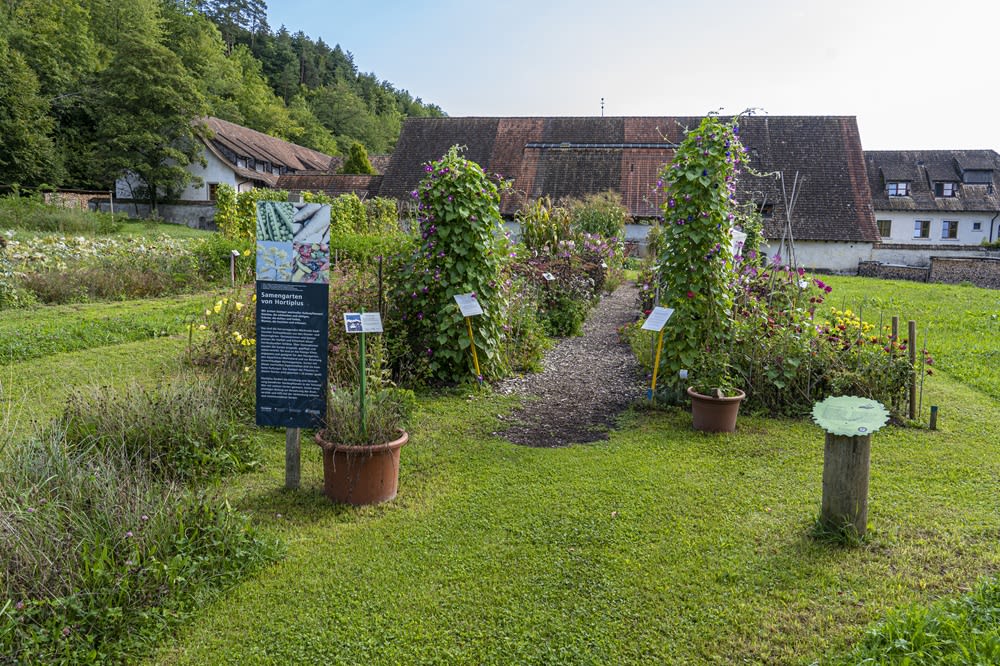 Ansicht Samengarten in Blüte