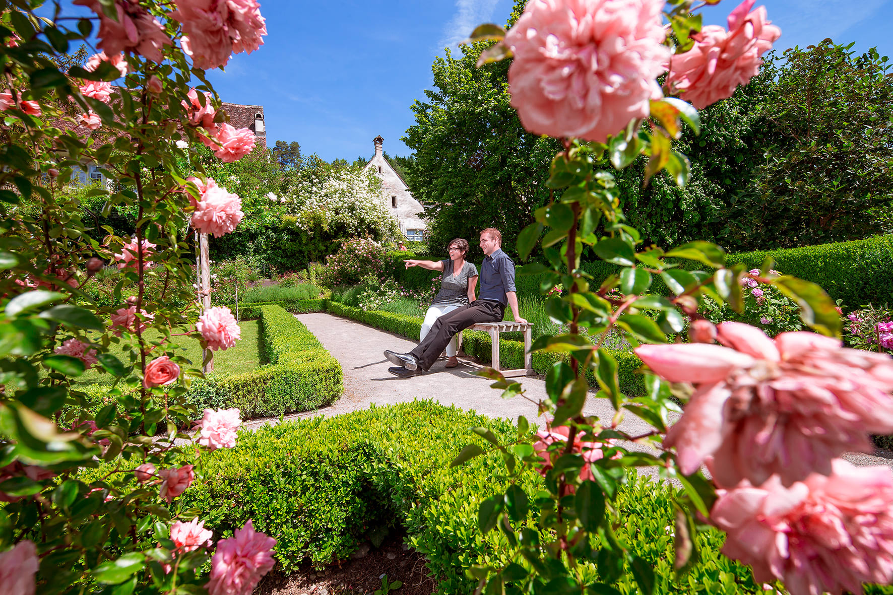 Rosen im Barockgarten