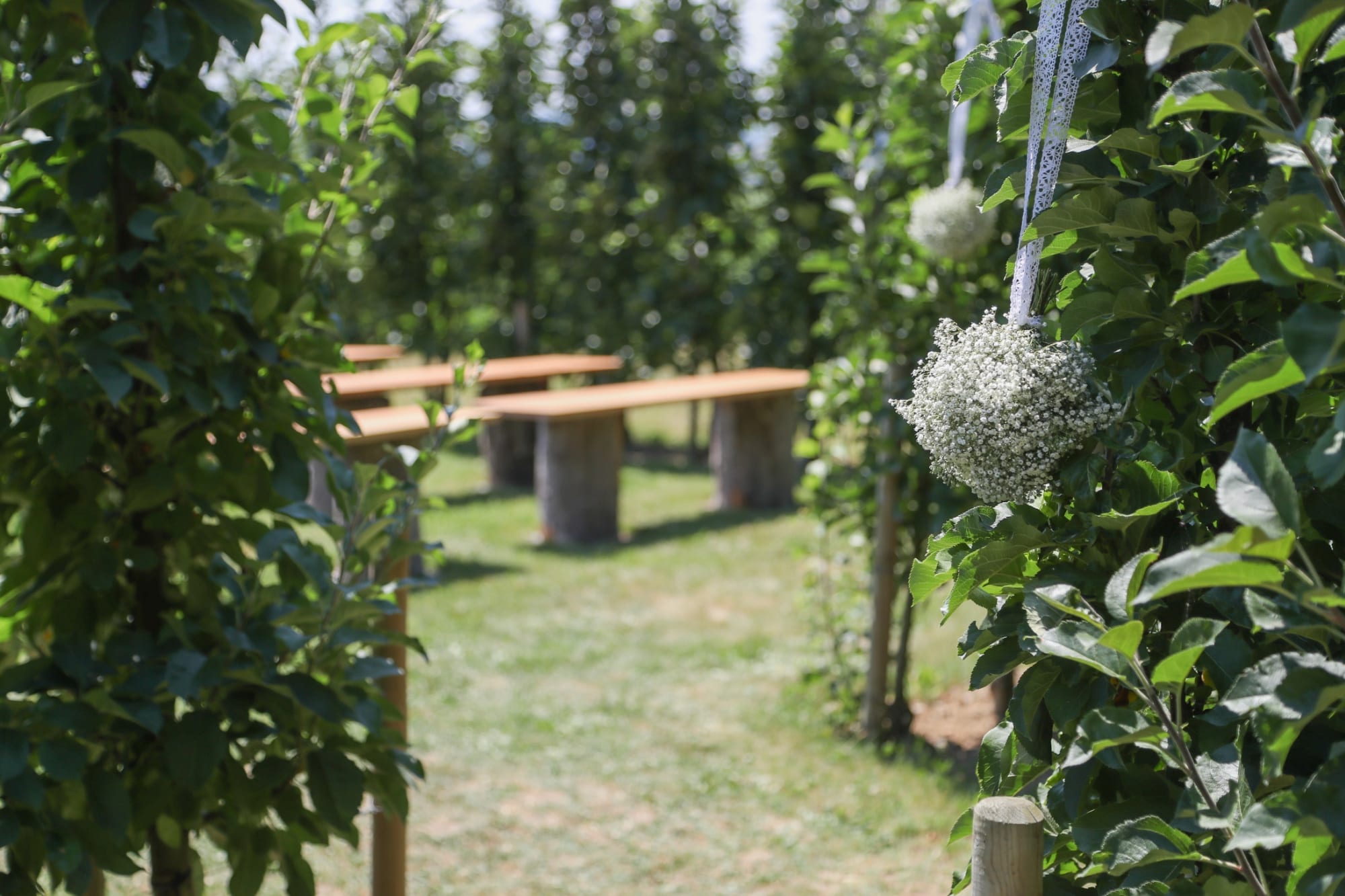 Geschmückter Eingang zum Apfelgarten