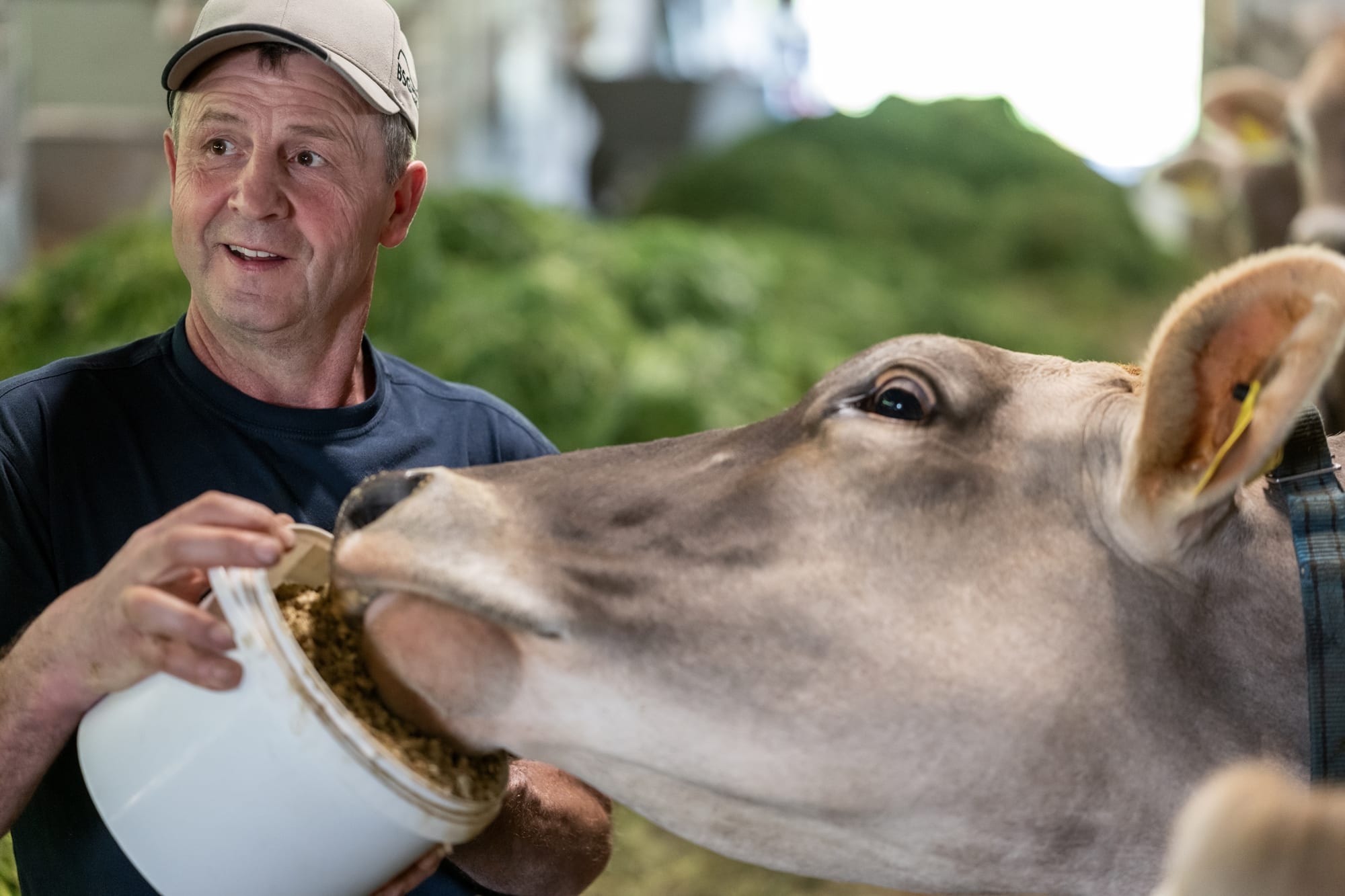 Frische Milch vom Hof