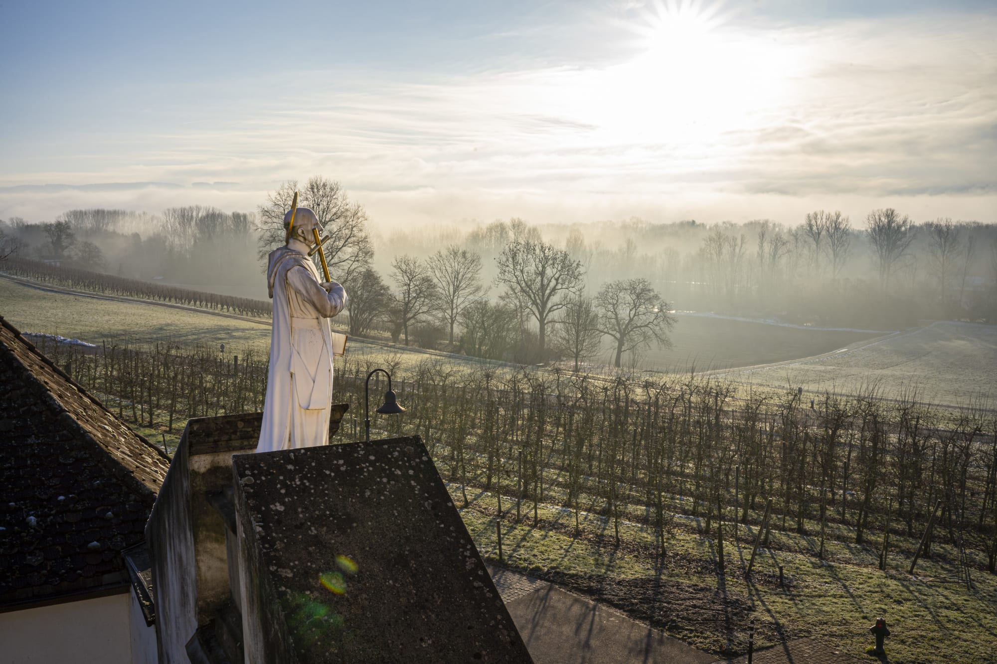 Bruno im Dezember-Morgenlicht