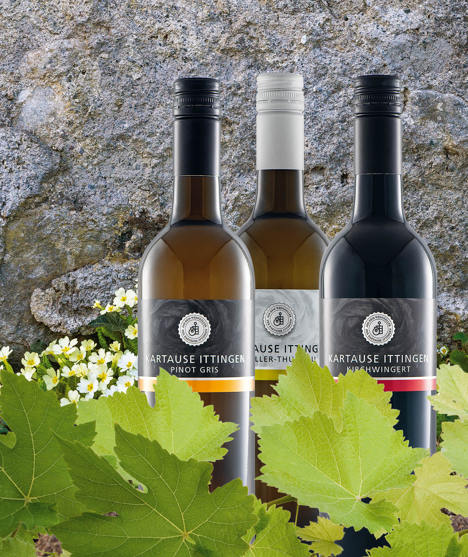 Weine der Kartause Ittingen
