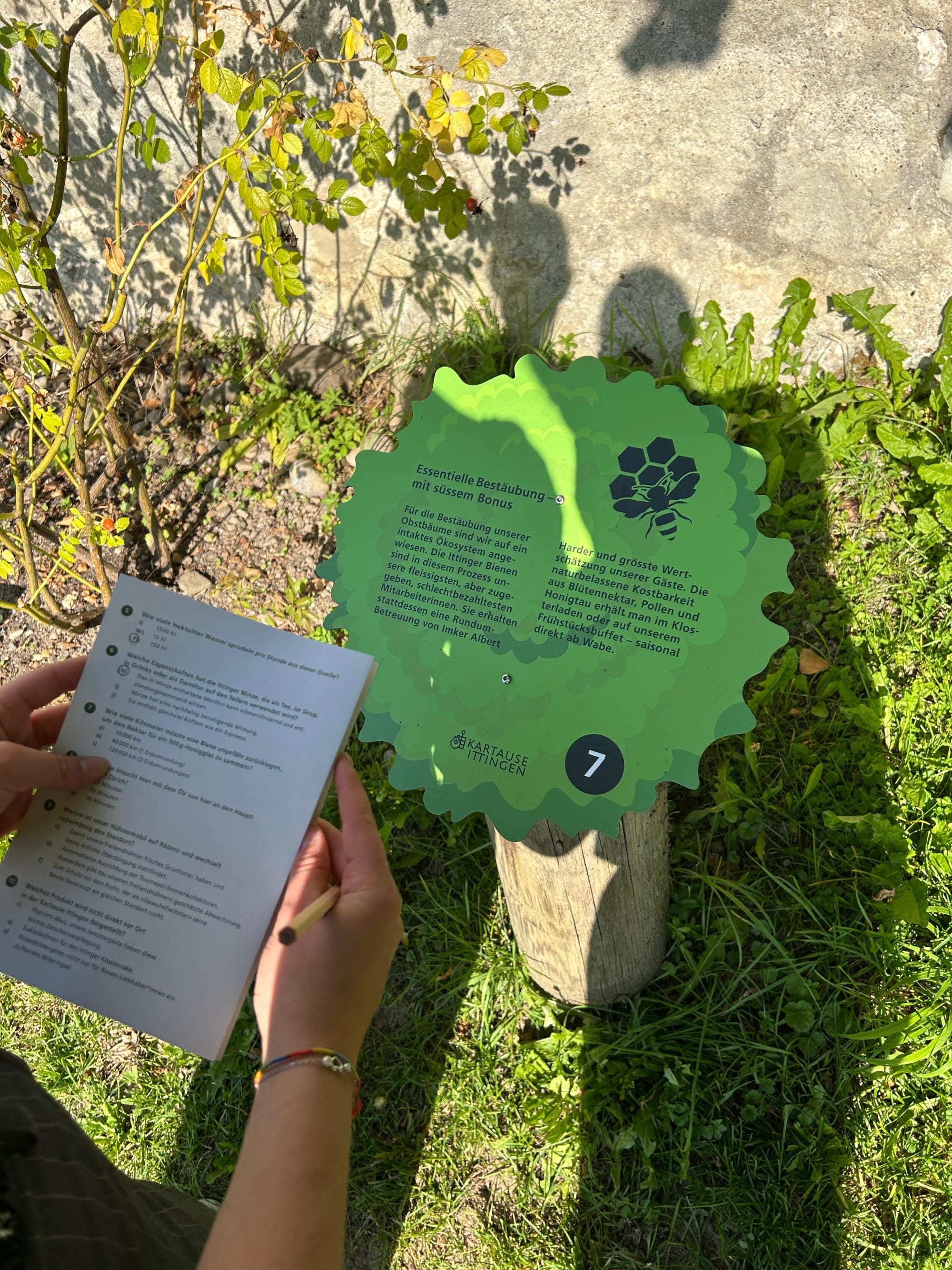 Rätsel vom Grünen Pfad