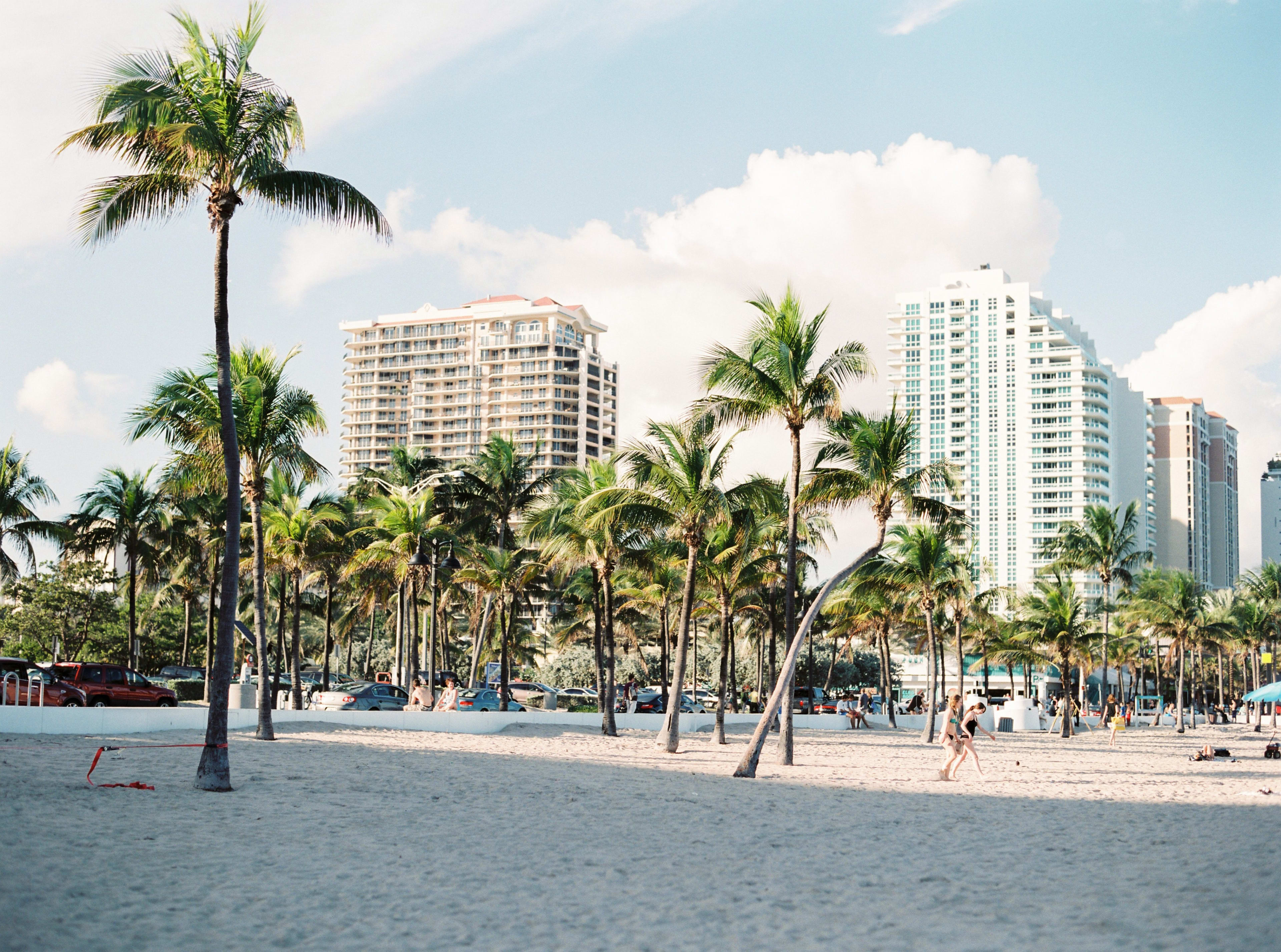 Tall palm trees stand on a sandy beach in the foreground, with high-rise buildings and a cloudy blue sky in the background.