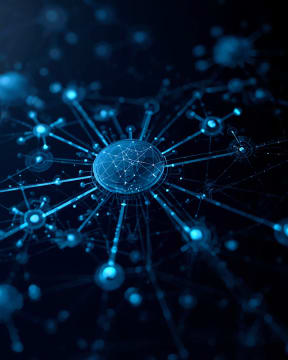 Connectivity