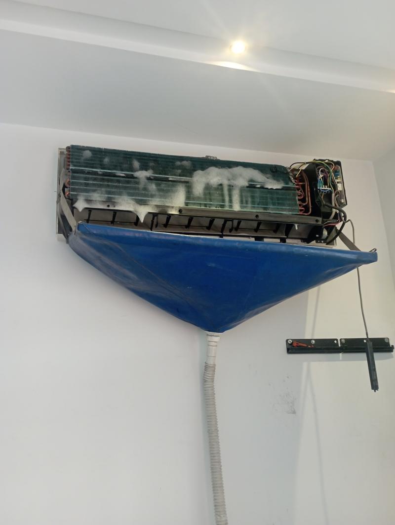 Gallery Image 7