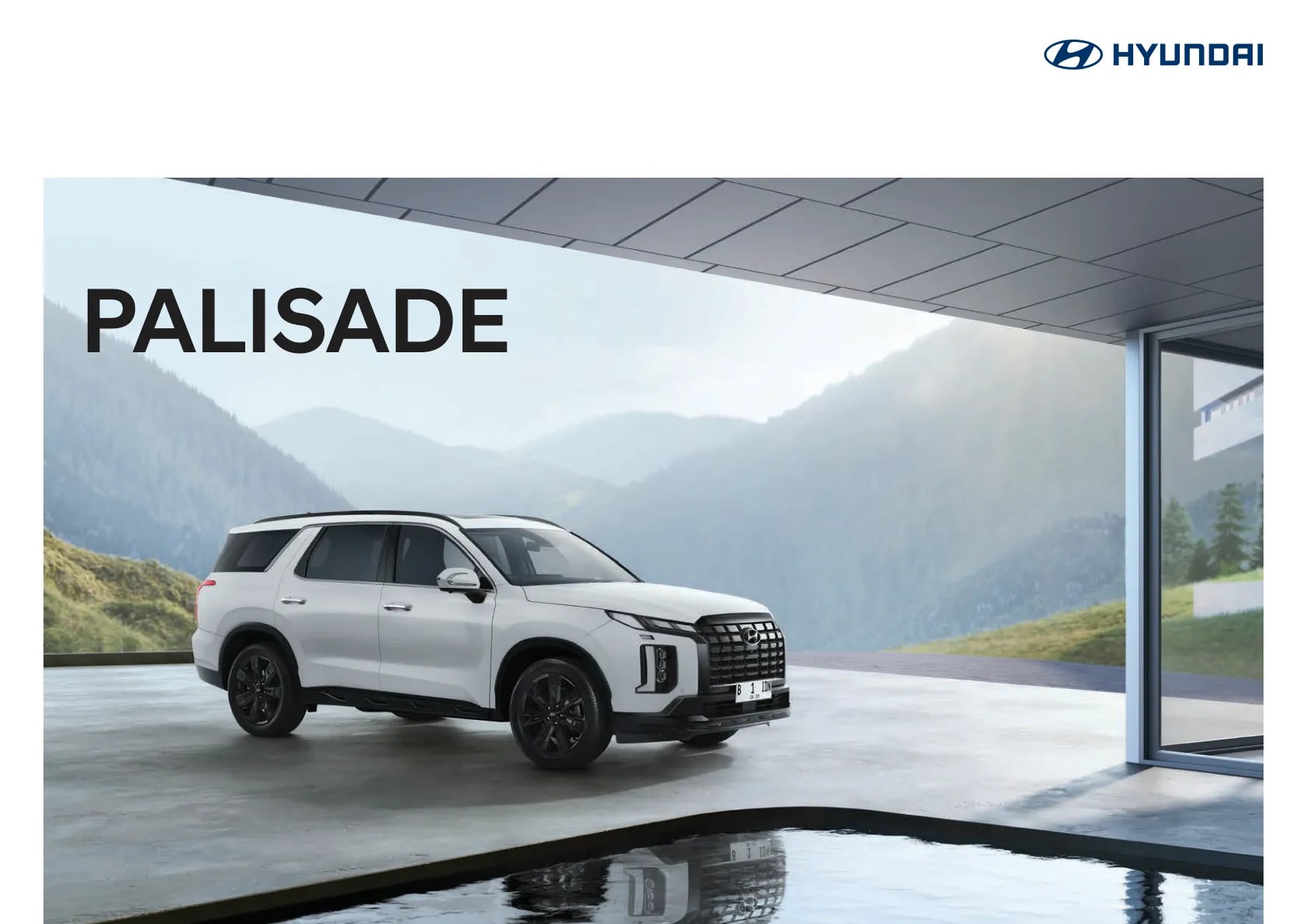 Hyundai Palisade page 1
