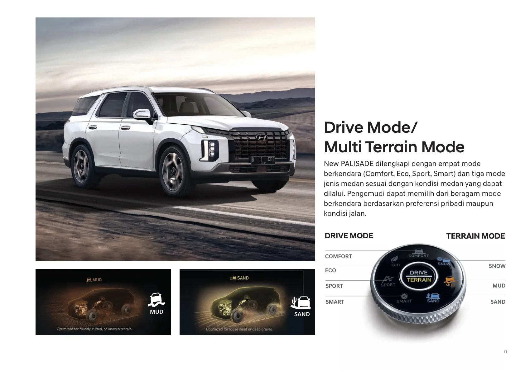 Hyundai Palisade page 17