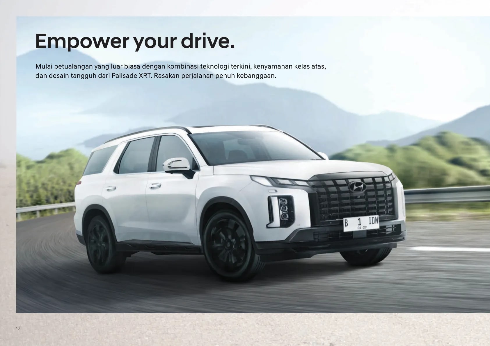 Hyundai Palisade page 18
