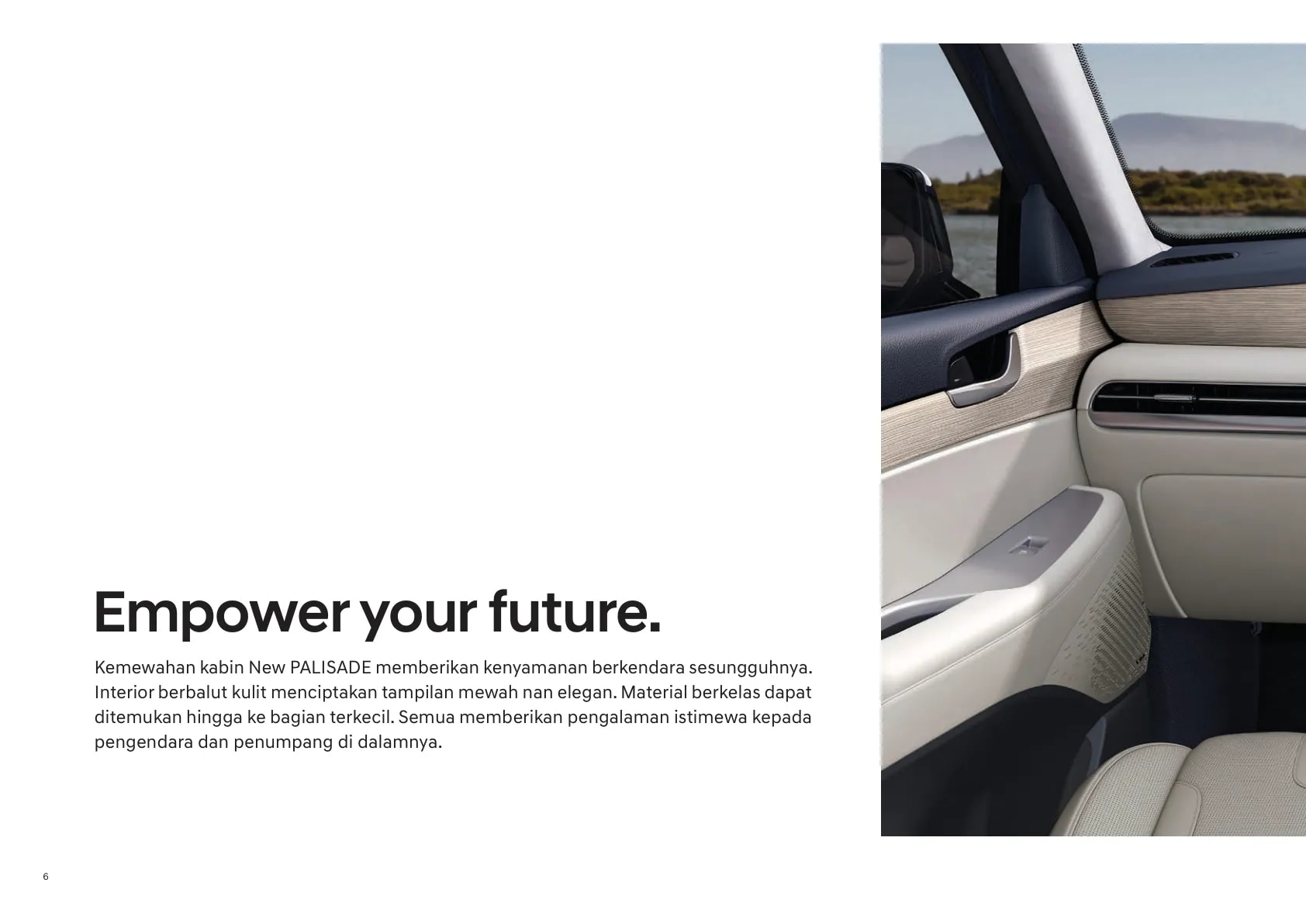 Hyundai Palisade page 6