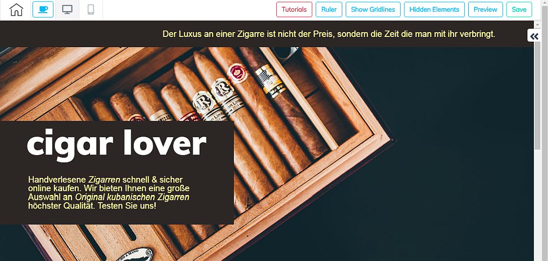 So sieht eine einfache, in weniger als 5 Minuten erstellte Cheetah Website aus