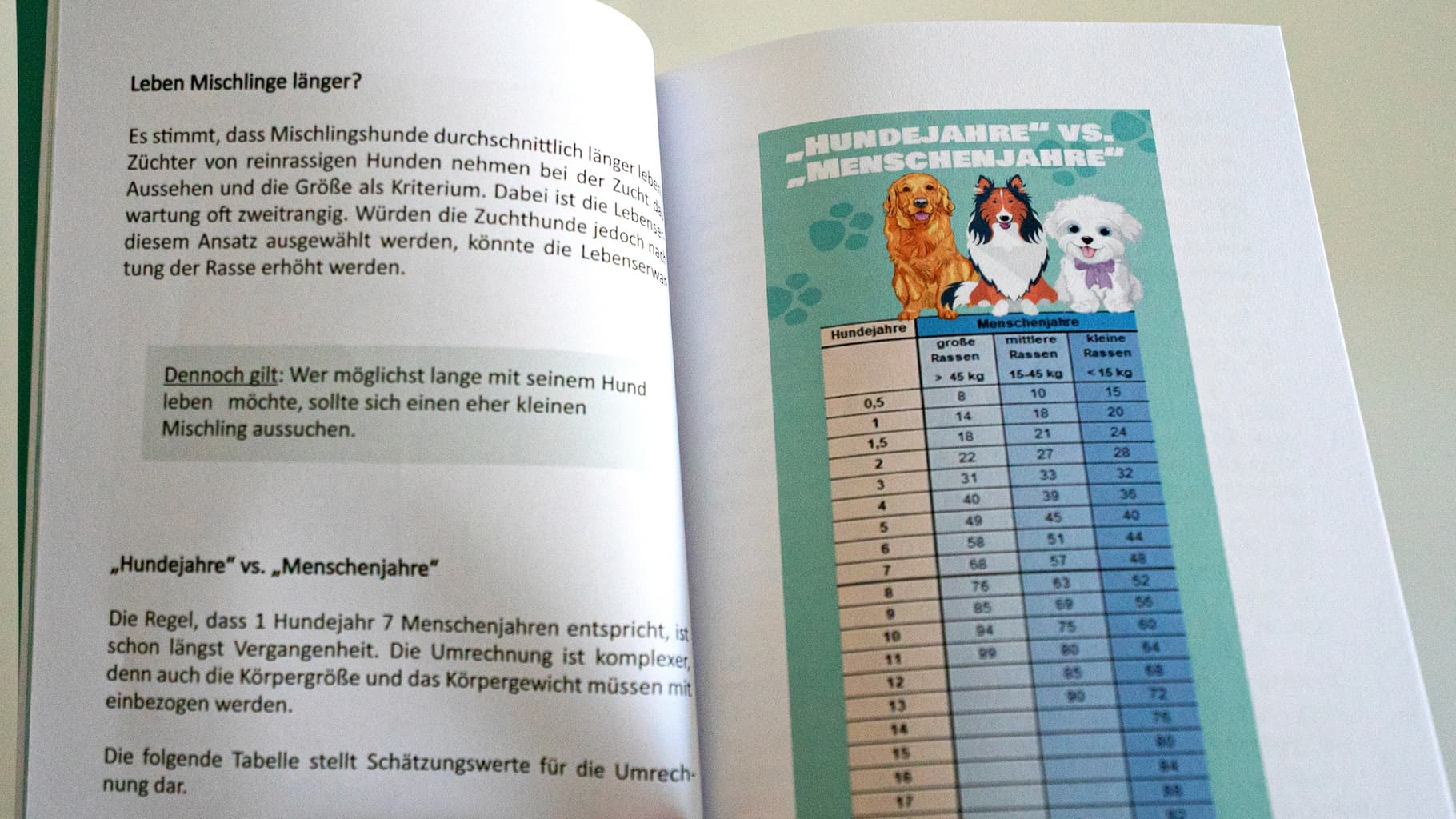 Builderall Beispielsseite für das Buch Hunde Gesundheits Bibel