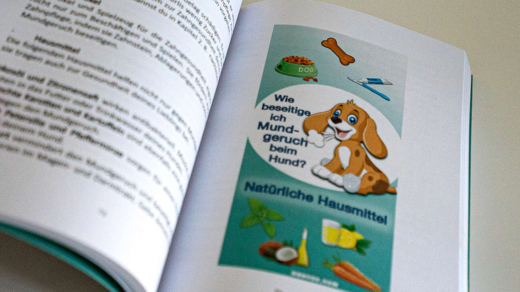 Builderall Beispielsseite für das Buch Hunde Gesundheits Bibel