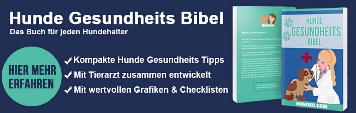 builderall, hundegesundheit, Hunde Gesundheits Bibel