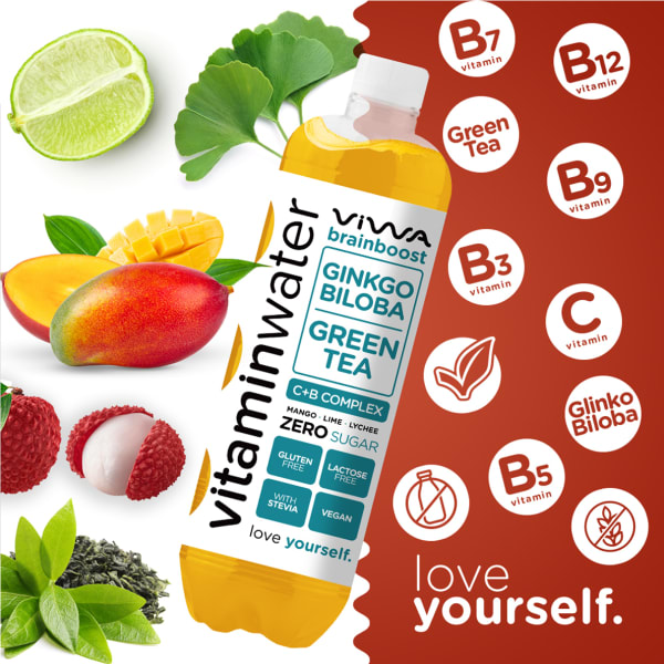 VIWA VIT.WATER BRAINBOOST MANGO/LIME&LYCHEE, 600ml
