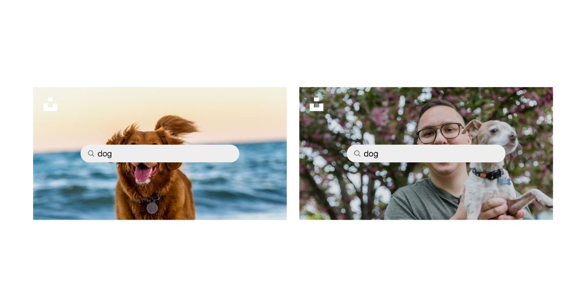 Unsplash returns different OG image on even same pages! Just because they are sooooo rich at images!