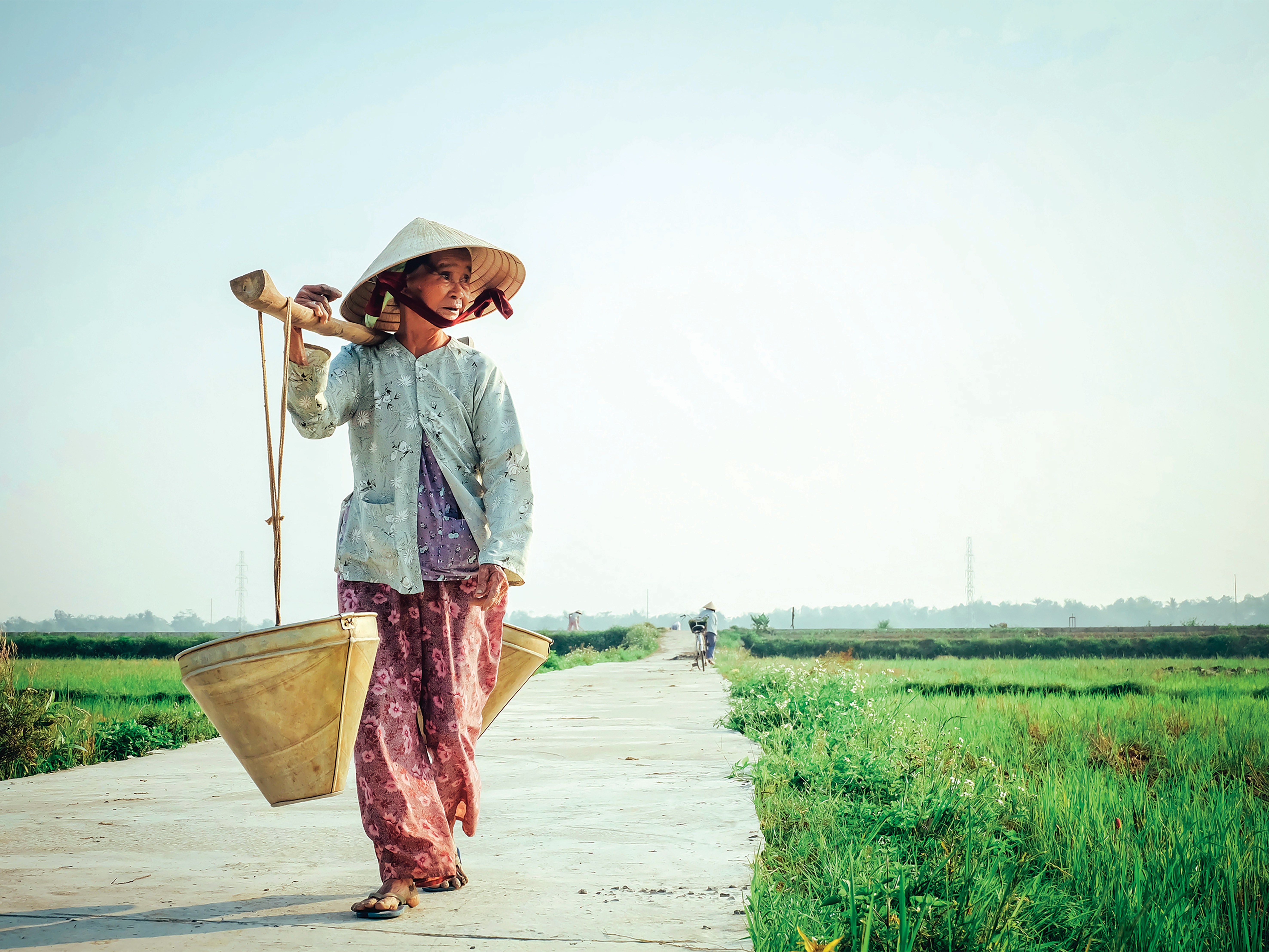 Ảnh này đã được tối ưu bởi Next.js khi hiển thị