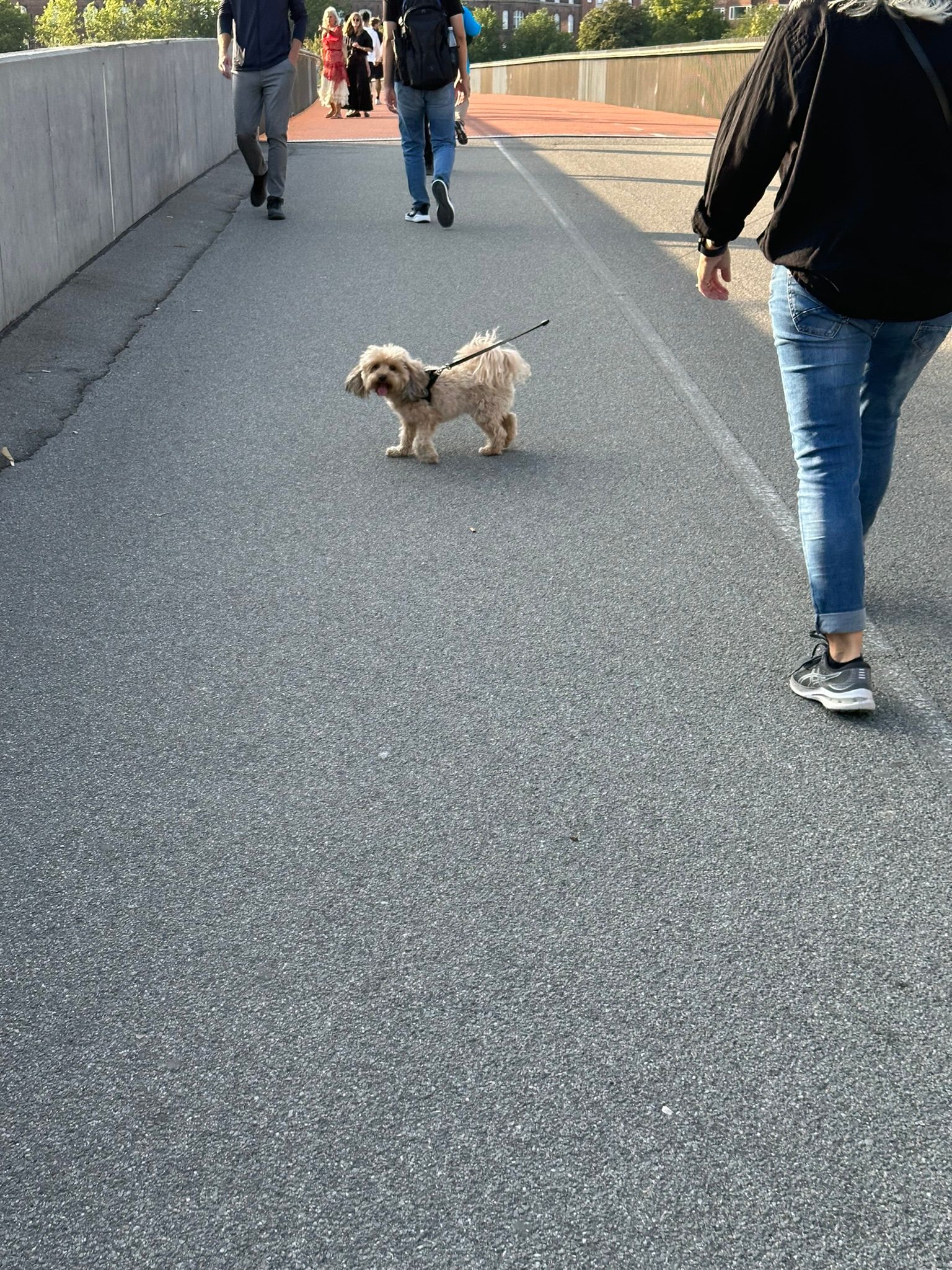 Quay lại nữa chứ =)) Hê lô cưng