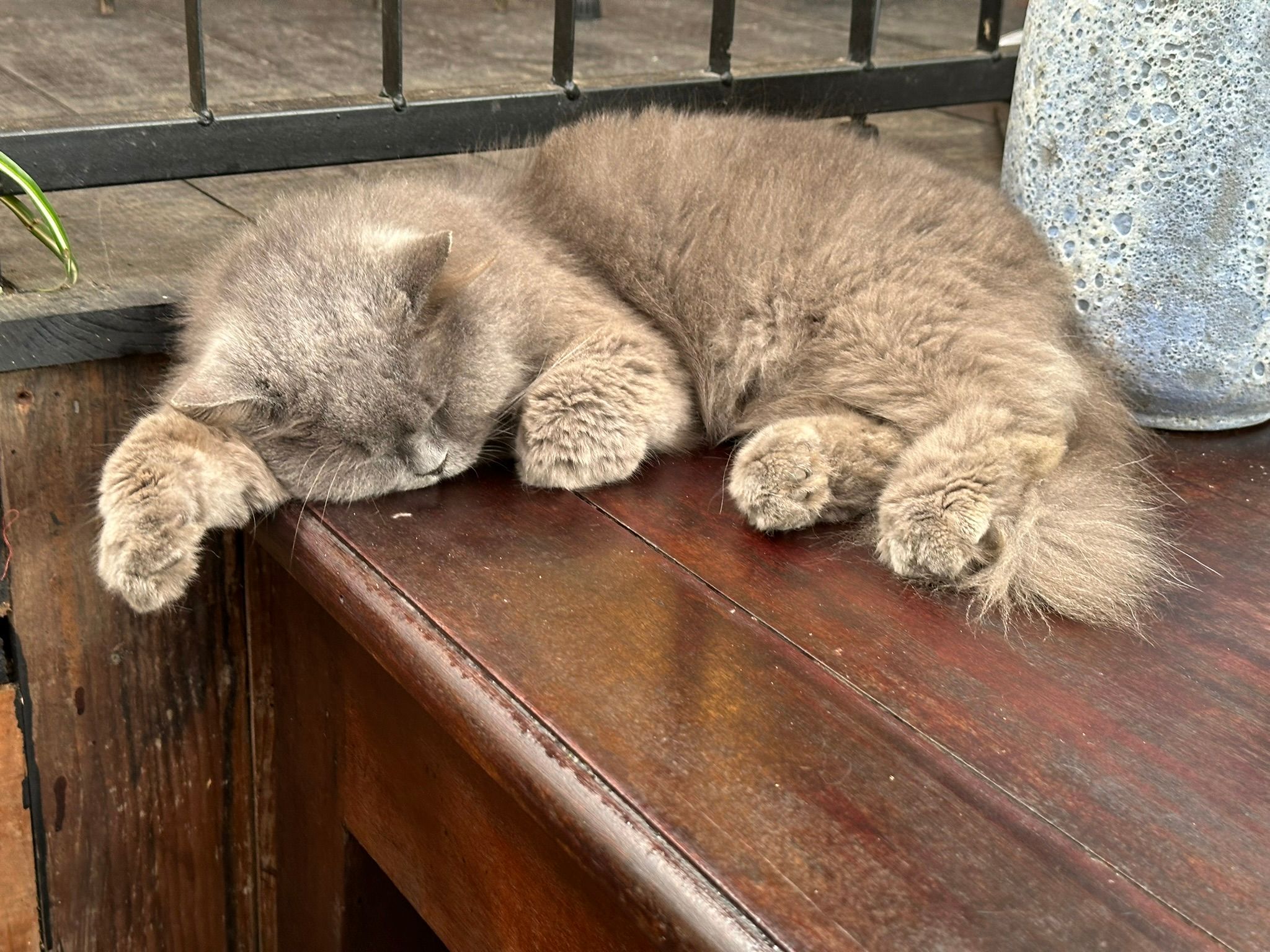 Nhỏ này có vẻ mệt, ngủ li bì à.