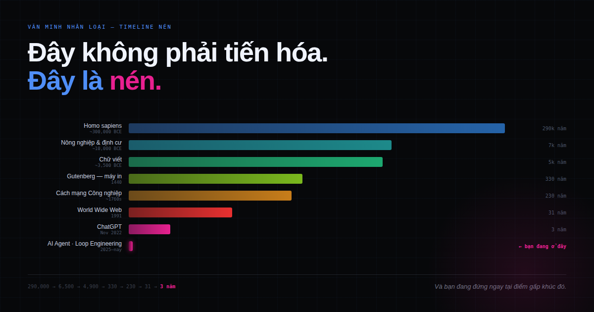 Đây không phải tiến hóa. Đây là nén.