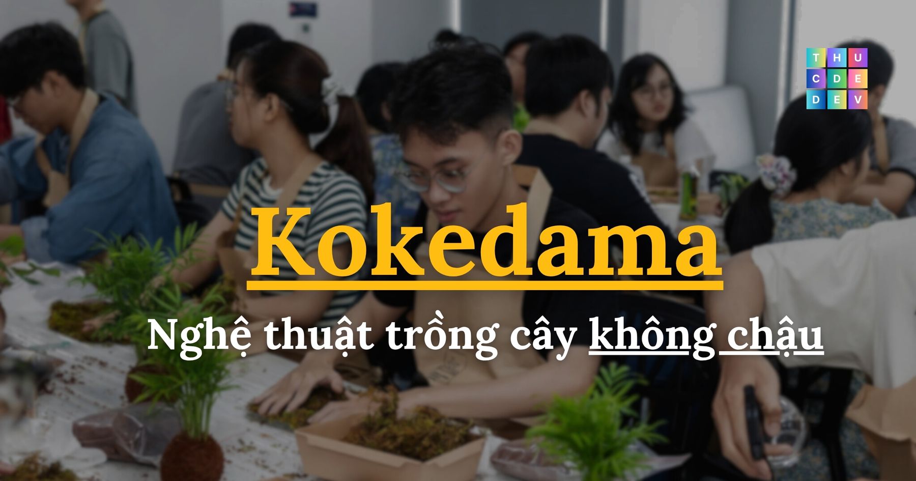 Kokedama - Dế Garden và workshop trồng cây không chậu
