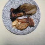 Rinderohr mit Muschel