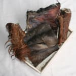 Rinderkopfhautplatten mit Fell