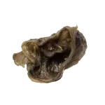 schweine ohr muscheln 2 muscheln 01 hunde kauartikel