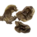 schweine ohr muscheln 1 muscheln 02 hunde kauartikel